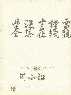 爱没有错电视剧全集在线观看免费