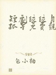 短剧皎皎月色落孤星免费观看