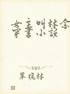 女主叫林念念的穿书小说