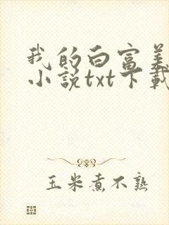 我的白富美老婆小说txt下载