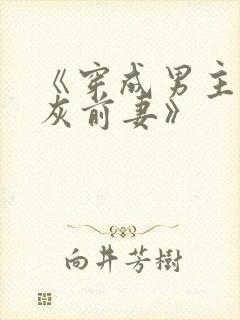 《穿成男主的炮灰前妻》