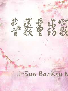 我还爱你啊是哪首歌里的歌词