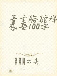 看完骆驼祥子的感受100字