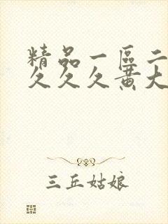 精品一区二区久久久久黄大片