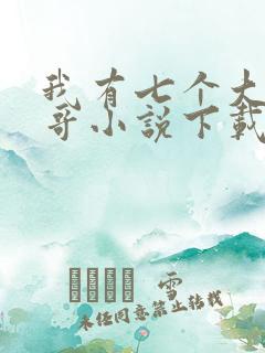 我有七个大佬哥哥小说下载txt