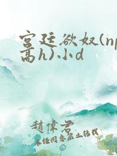 宫廷欲奴(np高h)小d