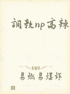 调教np高辣文
