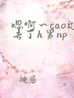 嗯啊～cao进去了h男np