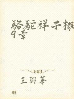 骆驼祥子概括第9章