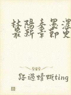 林阳秦墨浓免费最新章节更新