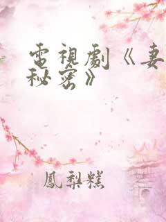 电视剧《妻子的秘密》