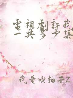 电视剧许我耀眼一共多少集