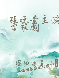 张晚意主演过的电视剧