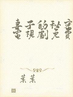 妻子的秘密韩剧电视剧免费观看