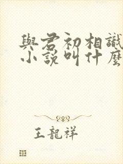 与君初相识原著小说叫什么