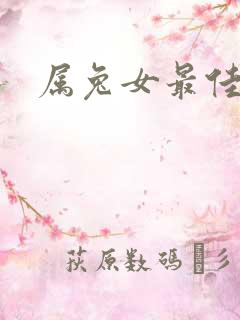 属兔女最佳配偶