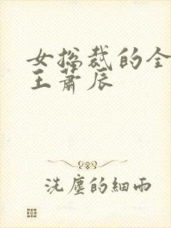 女总裁的全能兵王萧辰