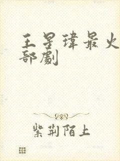 王星玮最火的三部剧