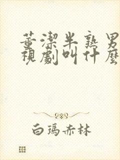 董洁半熟男女电视剧叫什么名