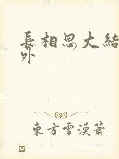 长相思大结局番外