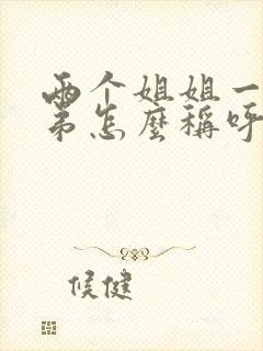 两个姐姐一个弟弟怎么称呼