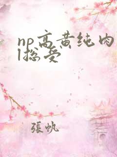 np高黄纯肉bl总受