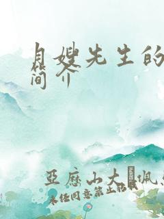 月嫂先生的剧情简介