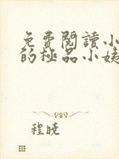 免费阅读小说我的极品小姨