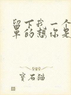 留下我一个人孤单的想你是什么歌