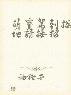 萌宝驾到总裁爹地请接招