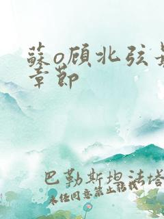 苏o顾北弦最新章节