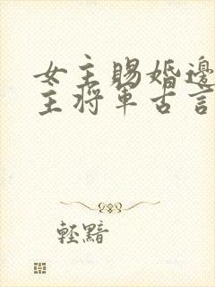 女主赐婚边关男主将军古言