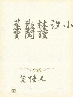 叶欢林汐小说免费阅读