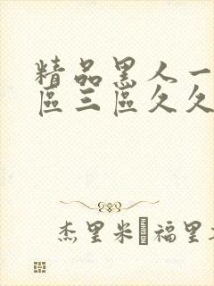 精品黑人一区二区三区久久