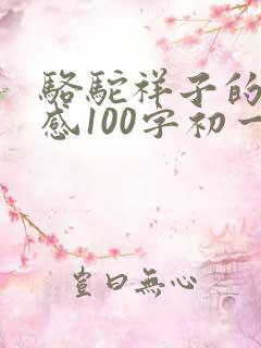 骆驼祥子的读后感100字初一