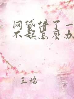 网贷借了一万还不起怎么办