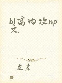 bl高肉攻np文