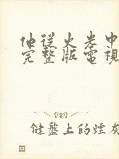 他从火光中走来完整版电视剧