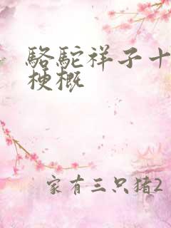 骆驼祥子十四章梗概