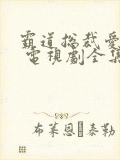 霸道总裁爱上我 电视剧全集免费观看