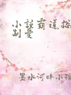 小说霸道总裁强制爱