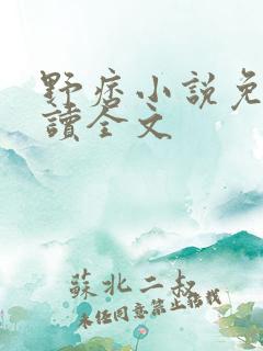 野痞小说免费阅读全文