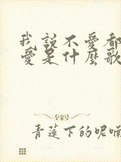 我说不爱都更加爱是什么歌