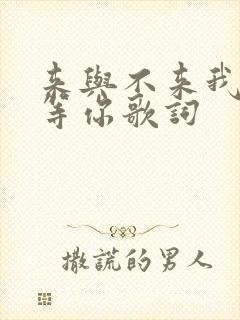 来与不来我都在等你歌词