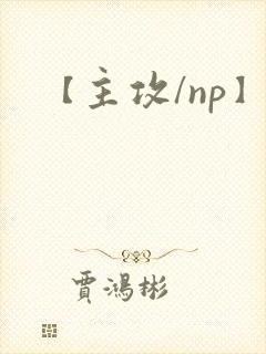 【主攻/np】