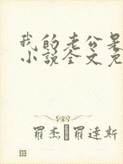 我的老公是大佬小说全文免费阅读