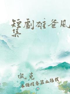 短剧雄爸风云全集