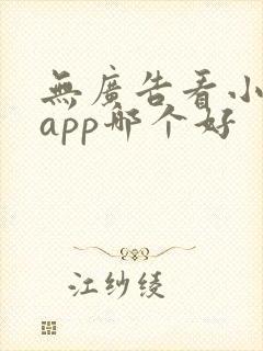 无广告看小说的app哪个好