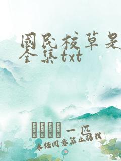 国民校草是女生全集txt