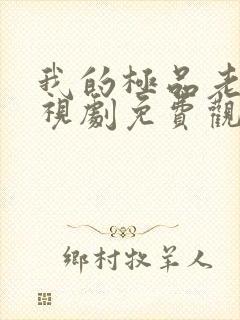 我的极品老婆电视剧免费观看